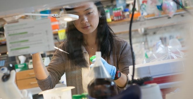 Lab Image