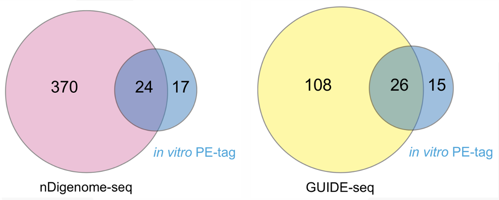 Profiling of Prime Editor (PE) off-target sites
